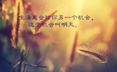 每日一句正能量语录,唤醒心灵的力量