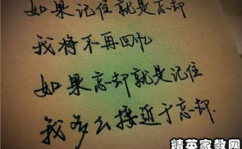 优美语句摘抄,精选优美语句集锦