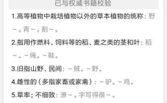 格外大方打一字答案,格外大方之谜底揭晓