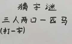 一打一字,探寻汉字魅力与演变轨迹”