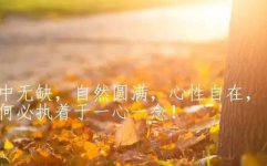 人生感悟经典句子摘抄大全,感悟经典句子的智慧之光