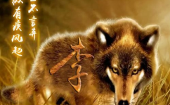 2022图片大全好看头像,唯美风景与个性潮流齐聚