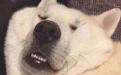幽默搞笑头像,个性幽默头像任你挑选！”