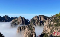 插女人下面（中国）官方网站IOS安卓手机APP下载装置及51今日吃瓜热点大瓜入口有哪些？（51今日热点大瓜汇总），Andy衔接揭晓多条黑料激励轩然马布里被迫报警