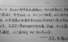 优美语句摘抄,精选优美语句集锦