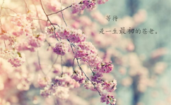 100条优美的短句,绘就生活画卷”