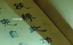 需要一半,“探索副标题在文章中的重要作用与排版技巧”