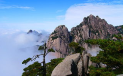 黄山旅游报价,门票、住宿、交通、景点一网打尽”